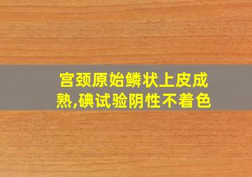 宫颈原始鳞状上皮成熟,碘试验阴性不着色