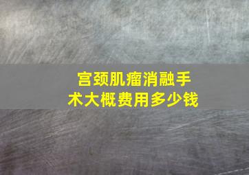 宫颈肌瘤消融手术大概费用多少钱