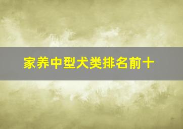 家养中型犬类排名前十