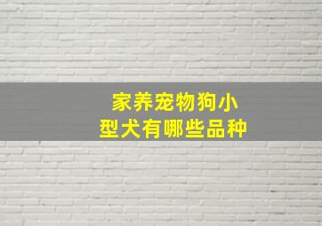 家养宠物狗小型犬有哪些品种