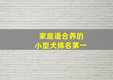 家庭适合养的小型犬排名第一