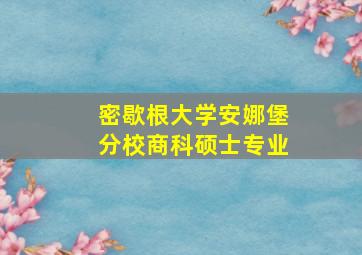 密歇根大学安娜堡分校商科硕士专业