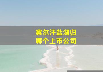 察尔汗盐湖归哪个上市公司