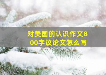 对美国的认识作文800字议论文怎么写