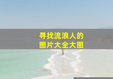 寻找流浪人的图片大全大图