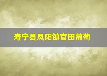 寿宁县凤阳镇官田葡萄