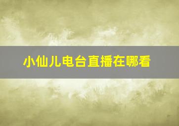 小仙儿电台直播在哪看