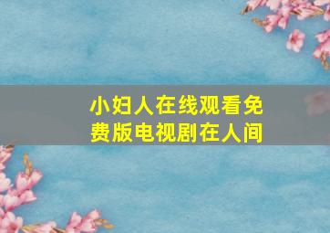 小妇人在线观看免费版电视剧在人间