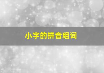 小字的拼音组词