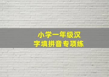 小学一年级汉字填拼音专项练