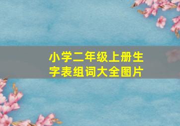 小学二年级上册生字表组词大全图片