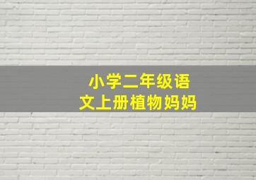 小学二年级语文上册植物妈妈