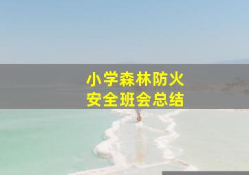 小学森林防火安全班会总结