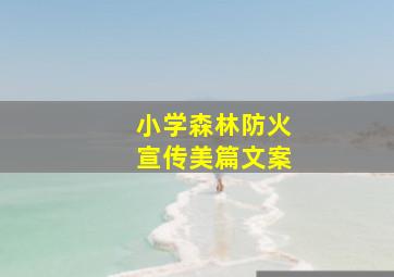 小学森林防火宣传美篇文案