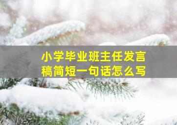 小学毕业班主任发言稿简短一句话怎么写