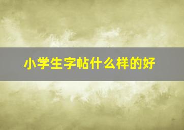 小学生字帖什么样的好