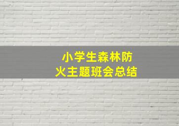 小学生森林防火主题班会总结