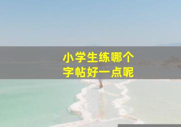 小学生练哪个字帖好一点呢