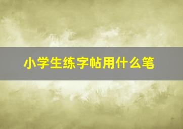 小学生练字帖用什么笔