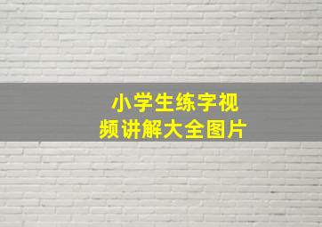 小学生练字视频讲解大全图片