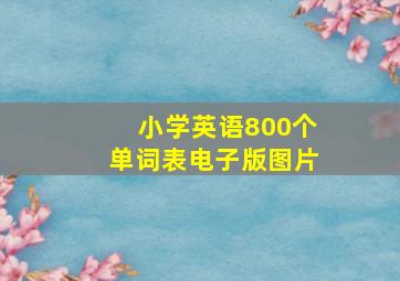 小学英语800个单词表电子版图片