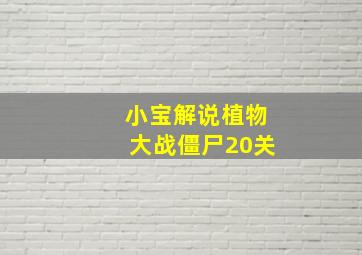 小宝解说植物大战僵尸20关