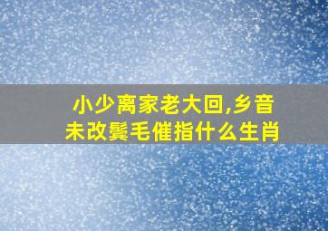 小少离家老大回,乡音未改鬓毛催指什么生肖