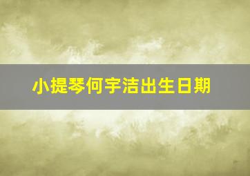 小提琴何宇洁出生日期