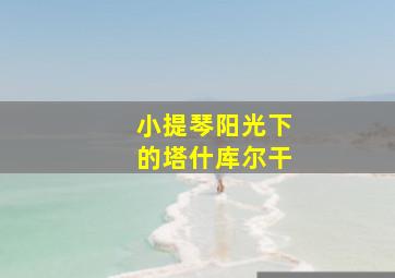 小提琴阳光下的塔什库尔干