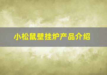 小松鼠壁挂炉产品介绍