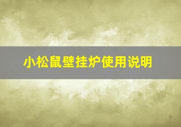 小松鼠壁挂炉使用说明