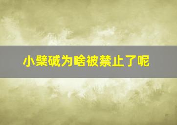 小檗碱为啥被禁止了呢