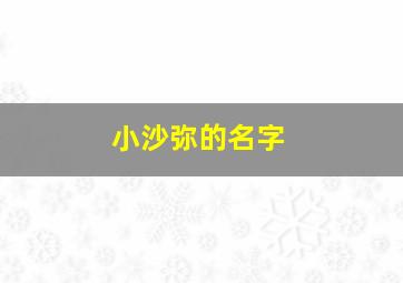 小沙弥的名字