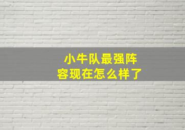 小牛队最强阵容现在怎么样了