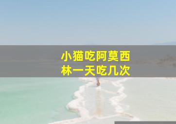 小猫吃阿莫西林一天吃几次