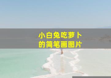 小白兔吃萝卜的简笔画图片