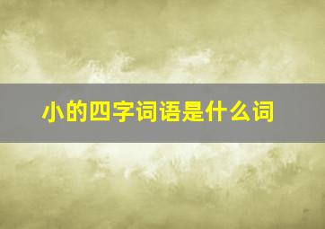 小的四字词语是什么词