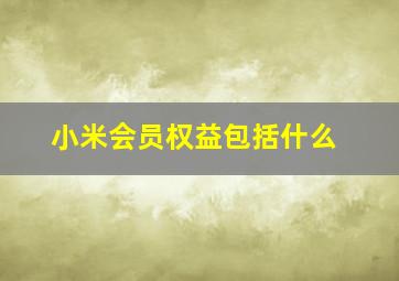 小米会员权益包括什么