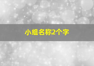 小组名称2个字