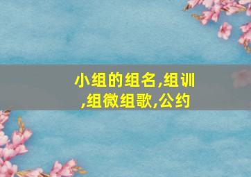 小组的组名,组训,组微组歌,公约