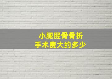 小腿胫骨骨折手术费大约多少