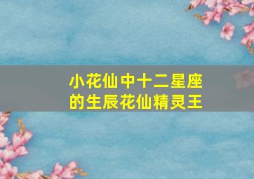 小花仙中十二星座的生辰花仙精灵王