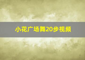 小花广场舞20步视频