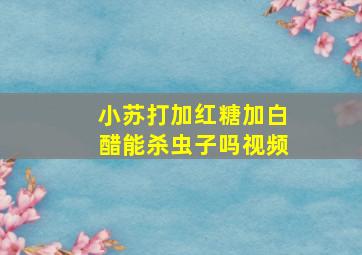 小苏打加红糖加白醋能杀虫子吗视频