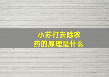 小苏打去除农药的原理是什么