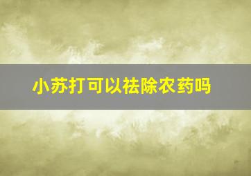 小苏打可以祛除农药吗