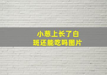 小葱上长了白斑还能吃吗图片