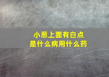 小葱上面有白点是什么病用什么药