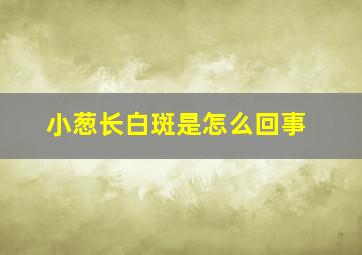 小葱长白斑是怎么回事