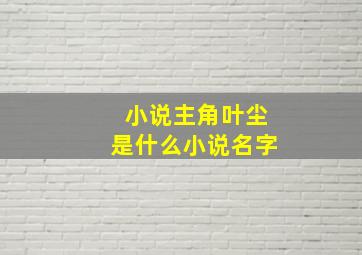 小说主角叶尘是什么小说名字